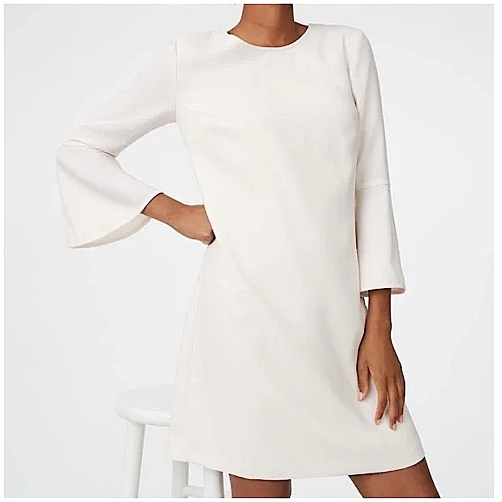 Club Monaco Larchye Dress 2